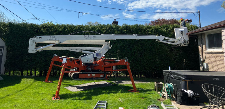 McLaren Tree Care - Hedge Pruning