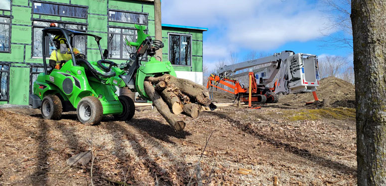 McLaren Tree Care - Lot Clearing