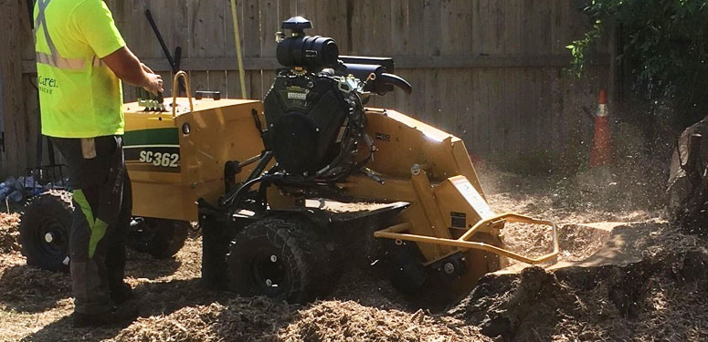 McLaren Tree Care - Stump Removal